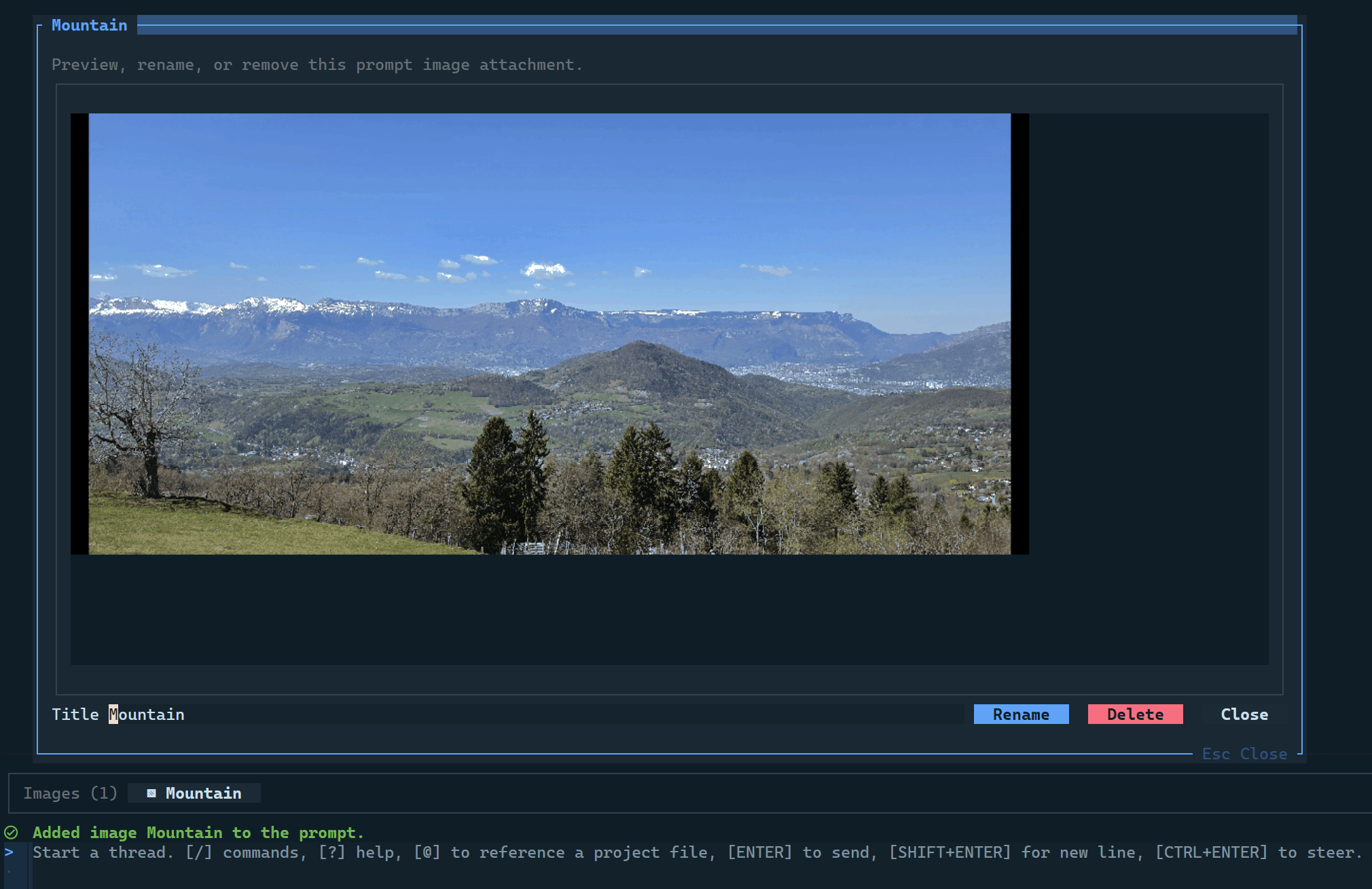 CodeAlta image paste dialog showing an image copied into a prompt